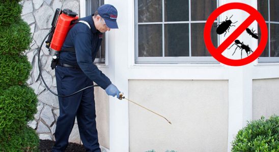 Nurdağı Gümüşkurt İlaçlama böcek ilaçlama ve haşere kontrolü — ilaclama-tr.com